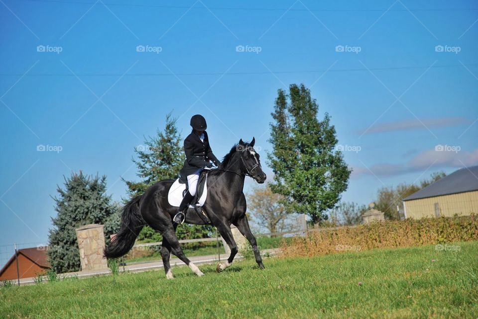 Trotting. A black horse takes a turn with his rider during a dressage show