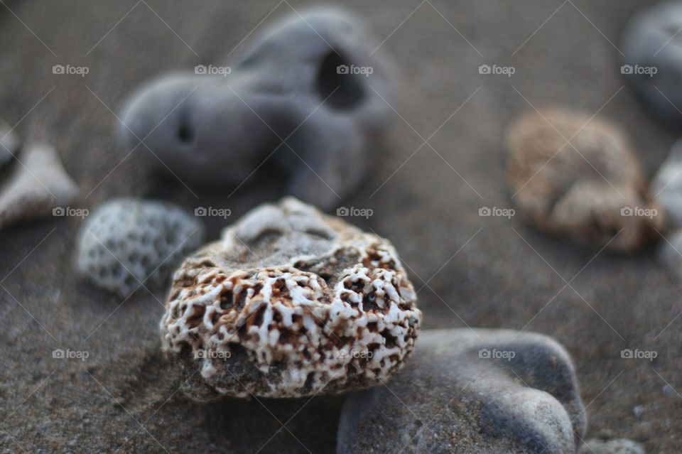 Rocks found on the shores of maui