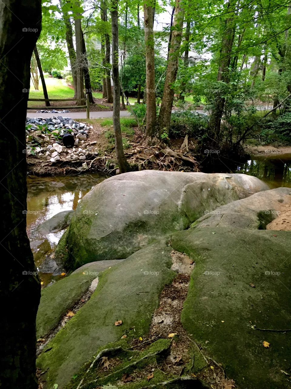 Giant rocks