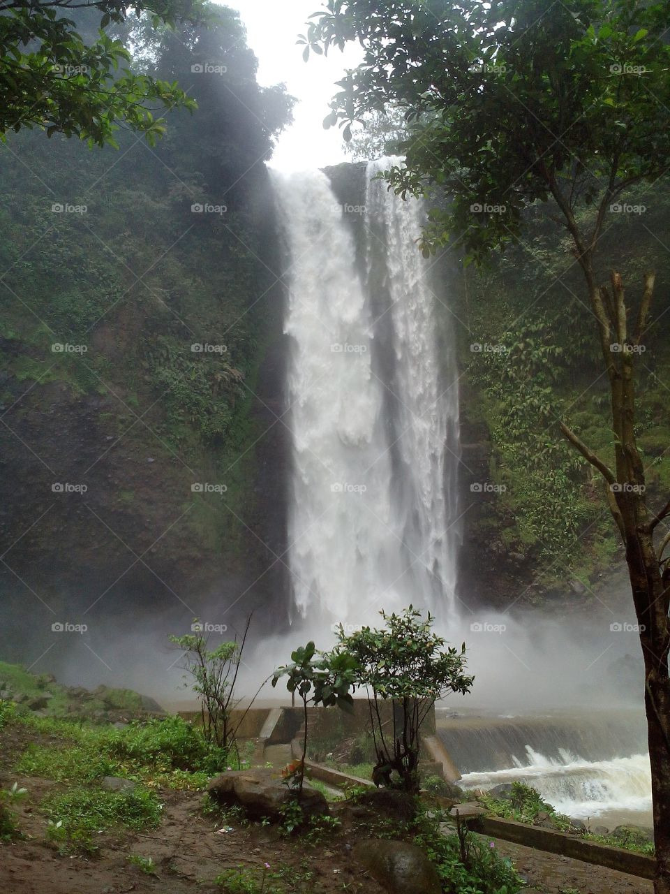 two way waterfall from river at mount