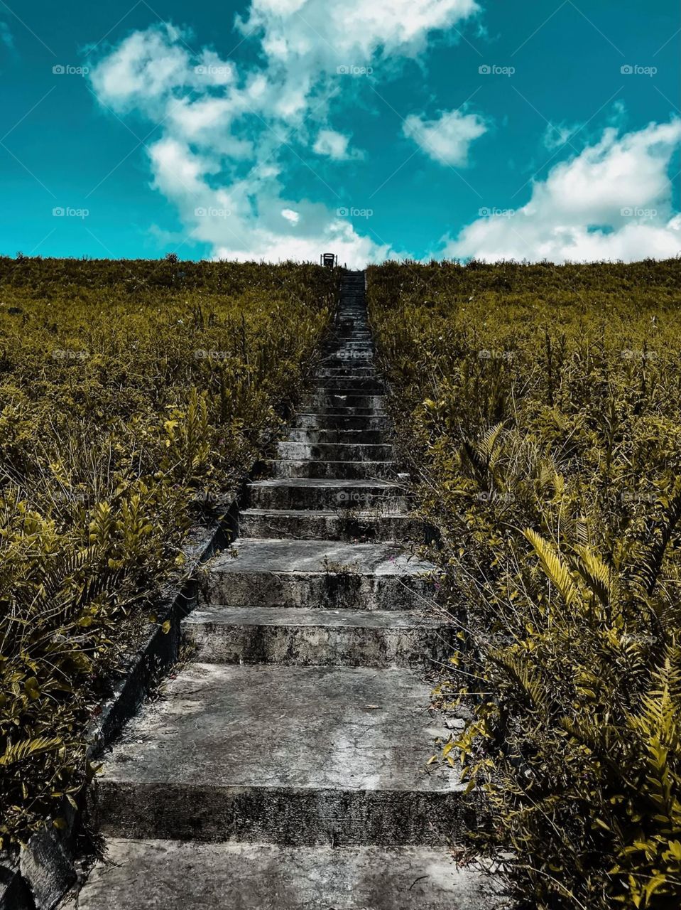 Unlimited Stone steps