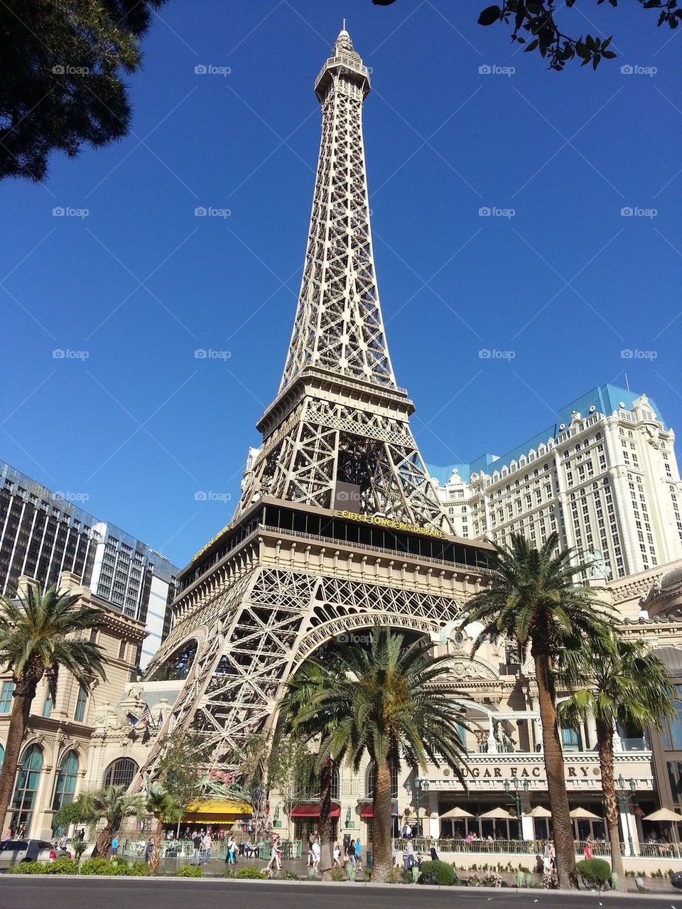 Paris Eiffel Tower in Vegas