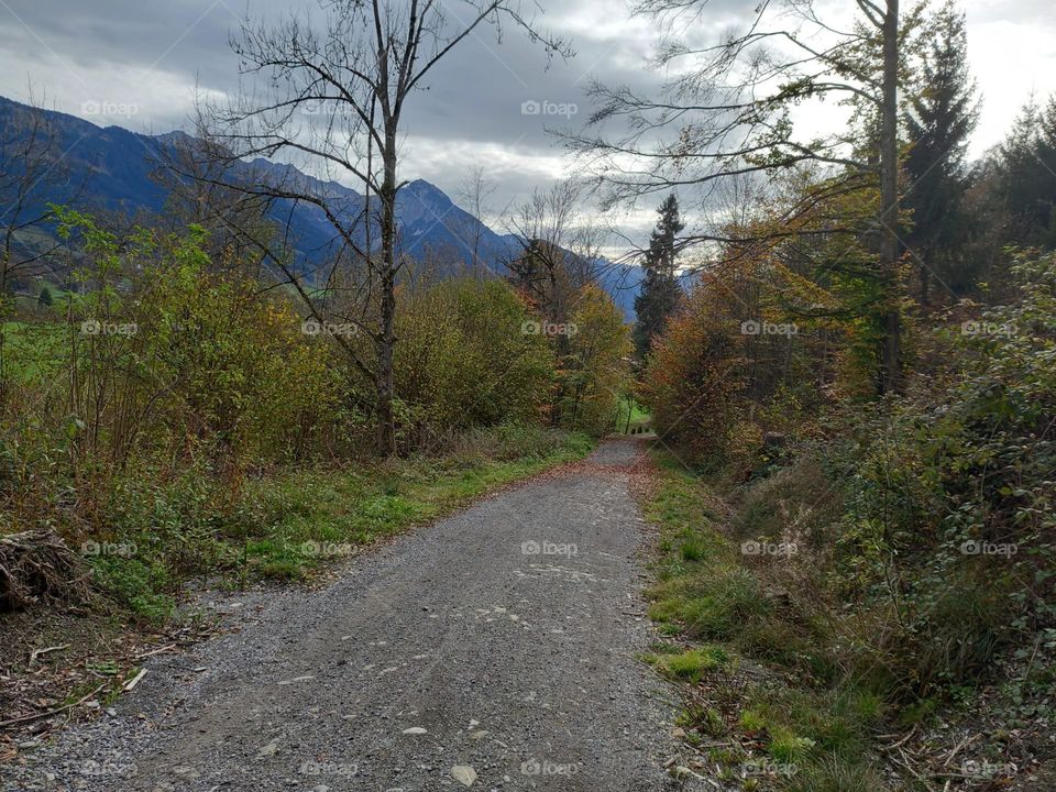 Mountain Trail on Cloudy Evening