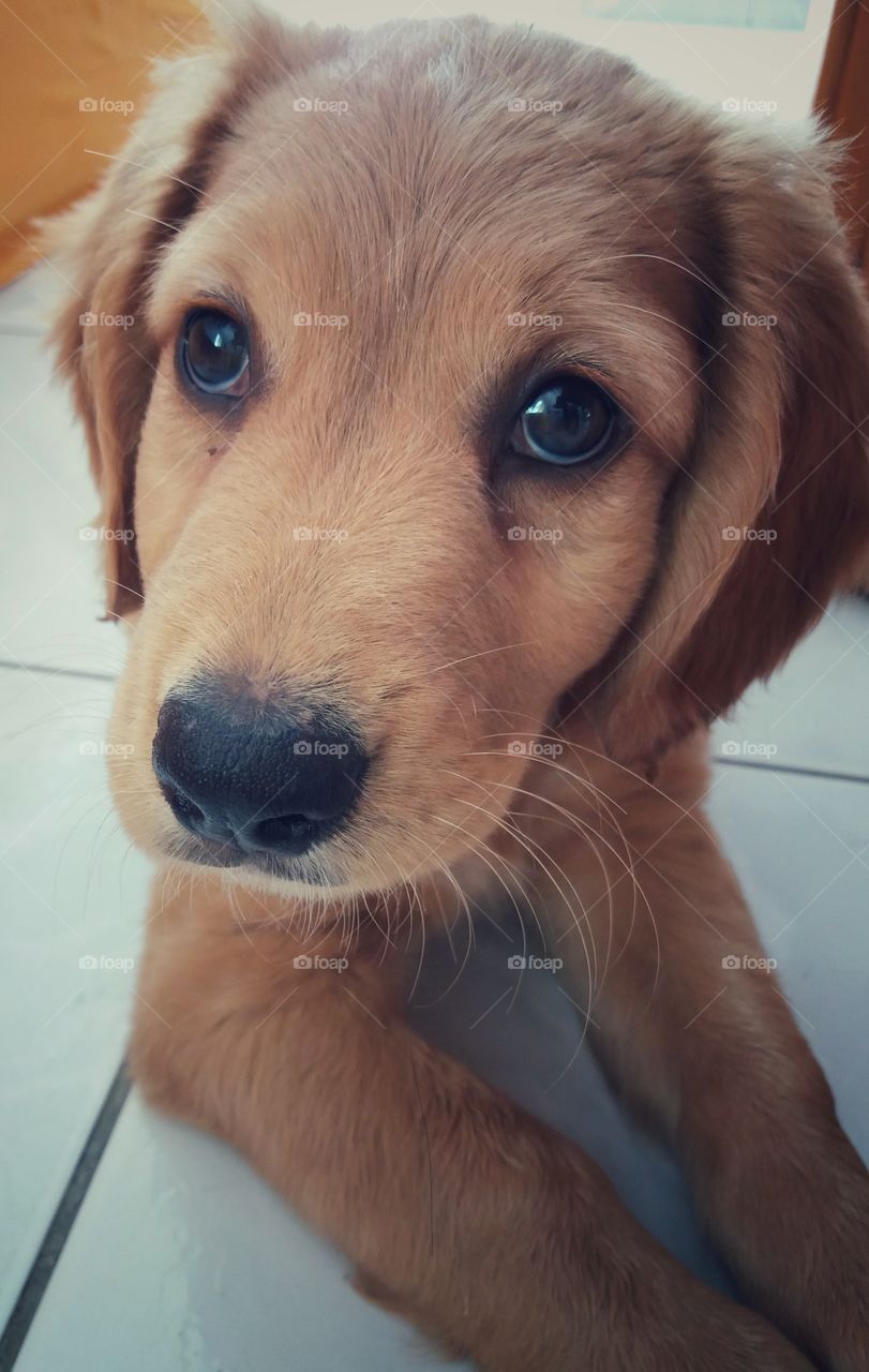 Wanna go for a walk?