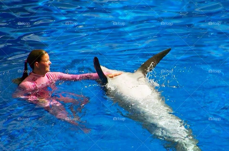 Sea World 3