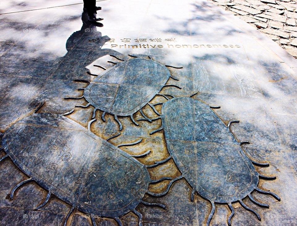 Carved ground on stone in Zhangjiajie national park China 