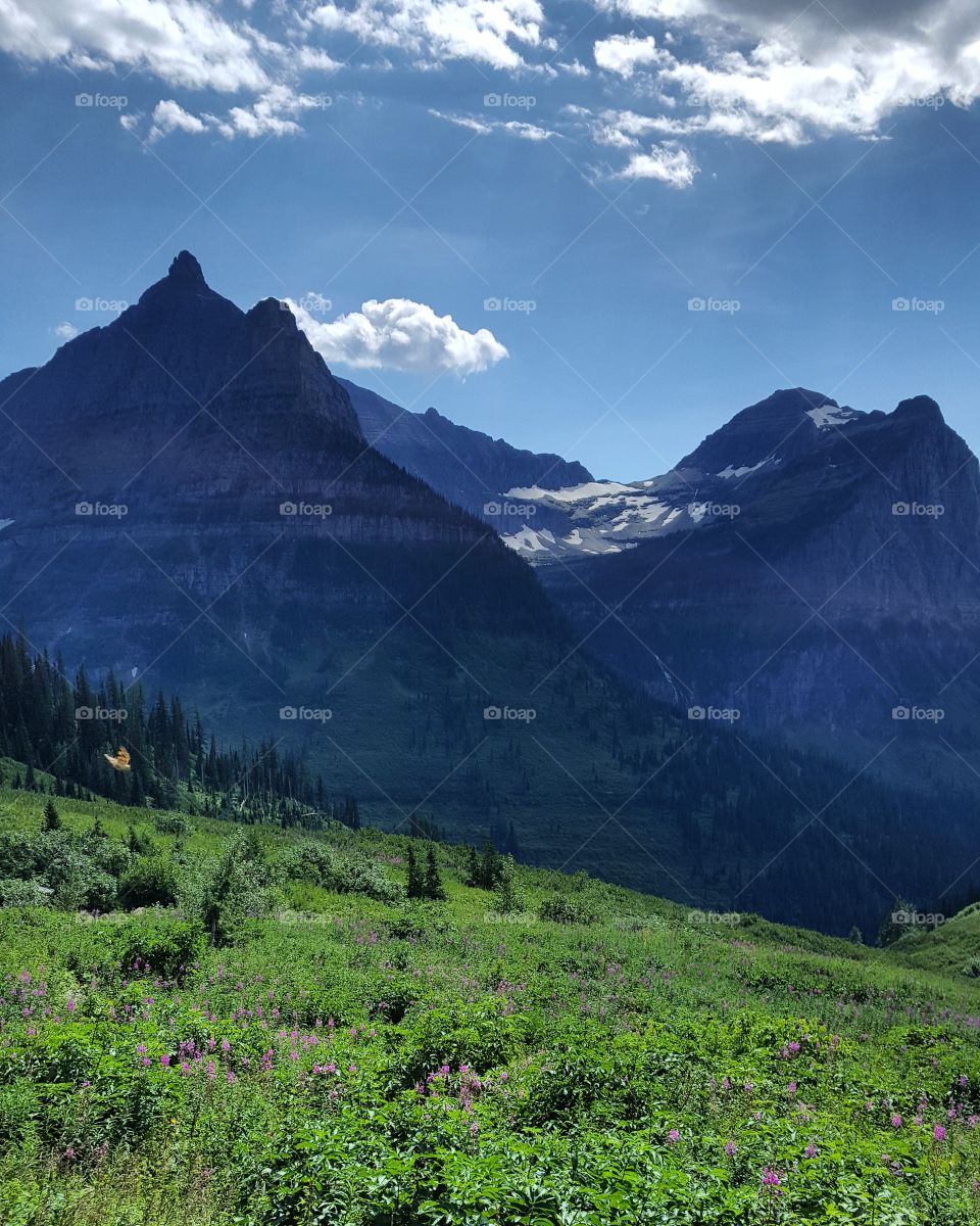 Glacier National Park