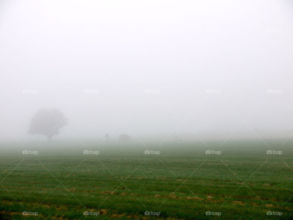 landscape field fall autumn by ylvafloreman