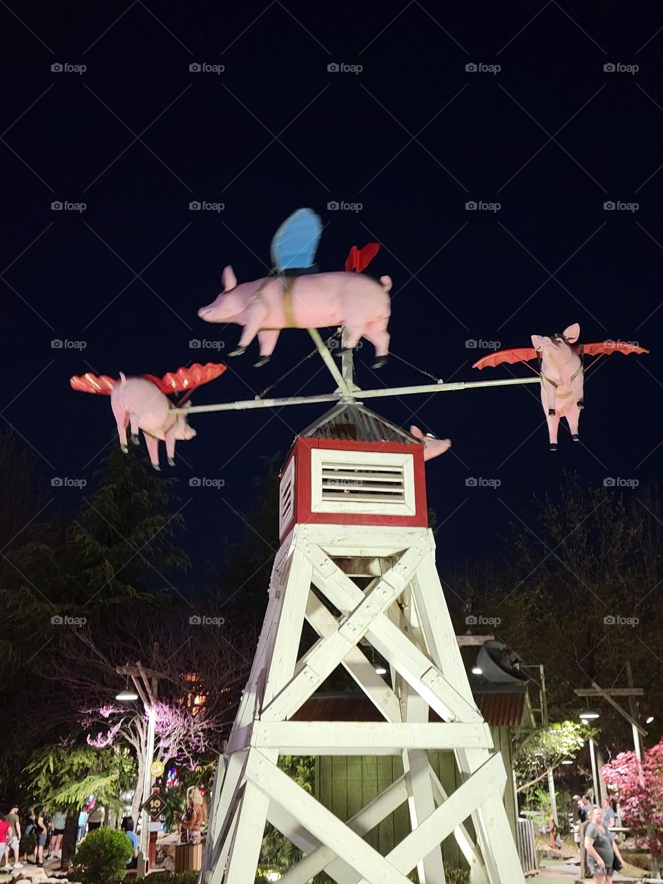 When pigs fly