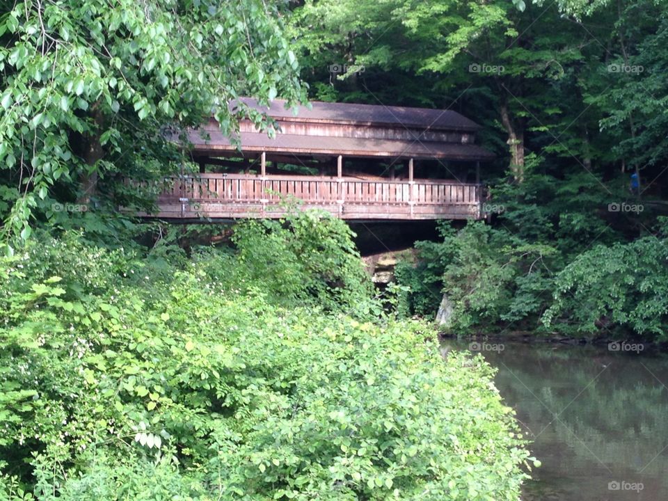 Covered bridge . park in ohio