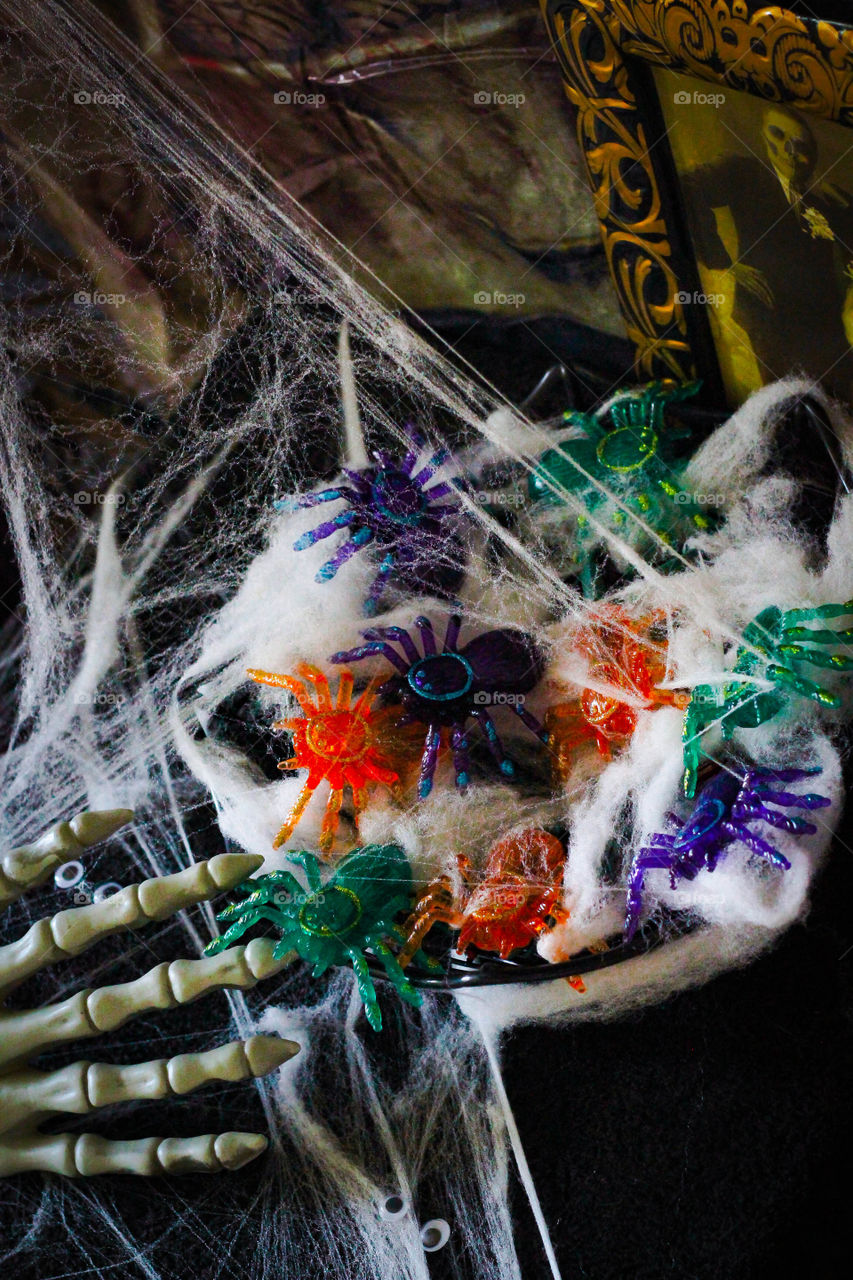 Creepy spiders and all of their webs, careful not to become their next meal!