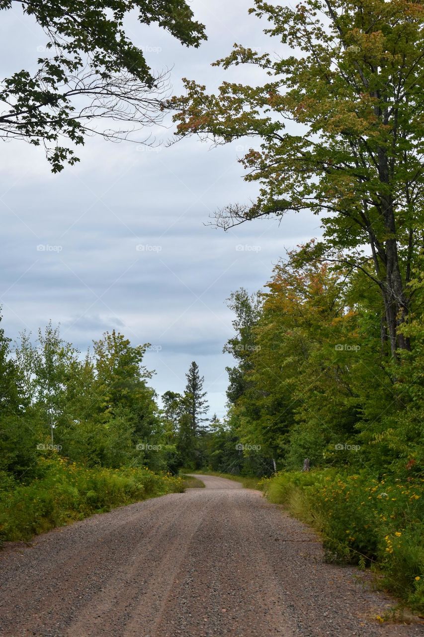 Favorite Vacation Destination: UTV trails in the woods