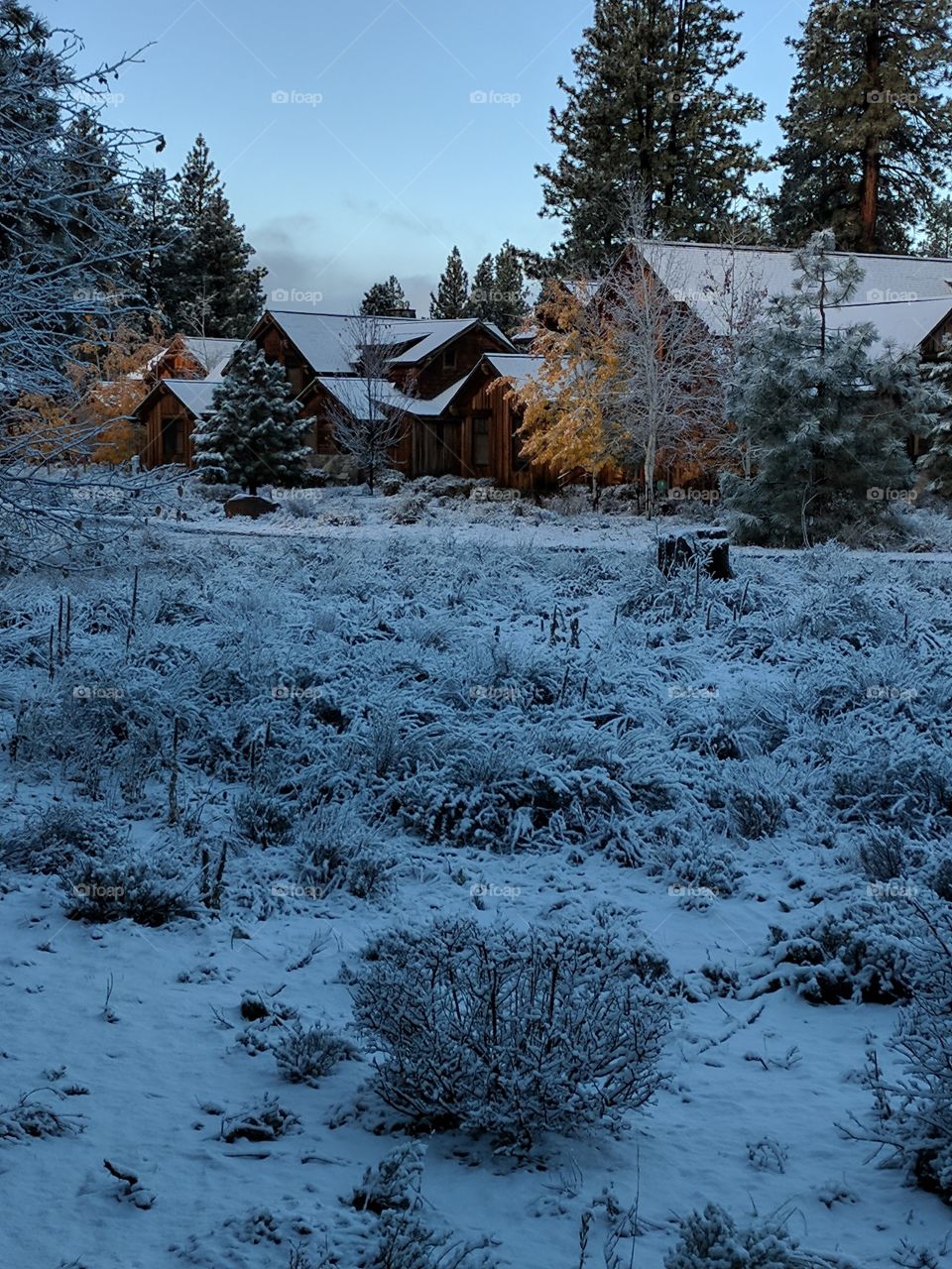 Snowy cabins