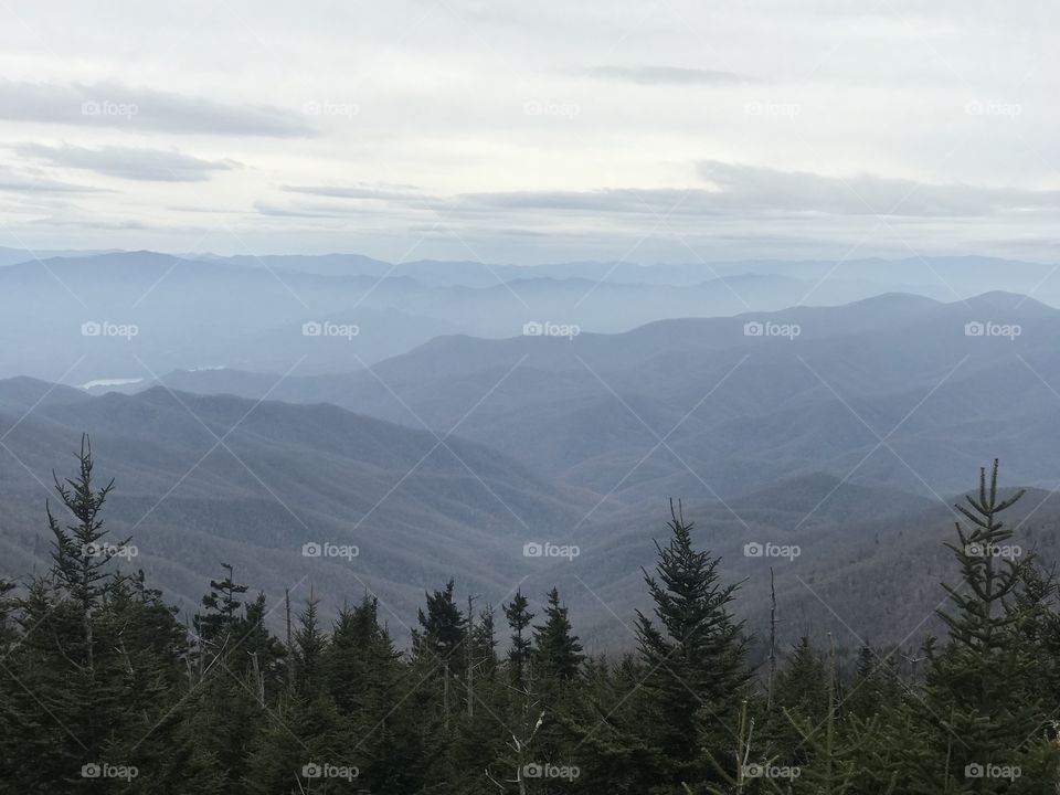 Top of Great Smokey’s.