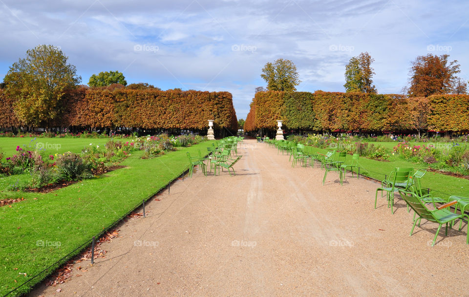 Autumn park in Paris 