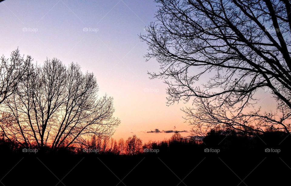 view from a hill of distant treeline