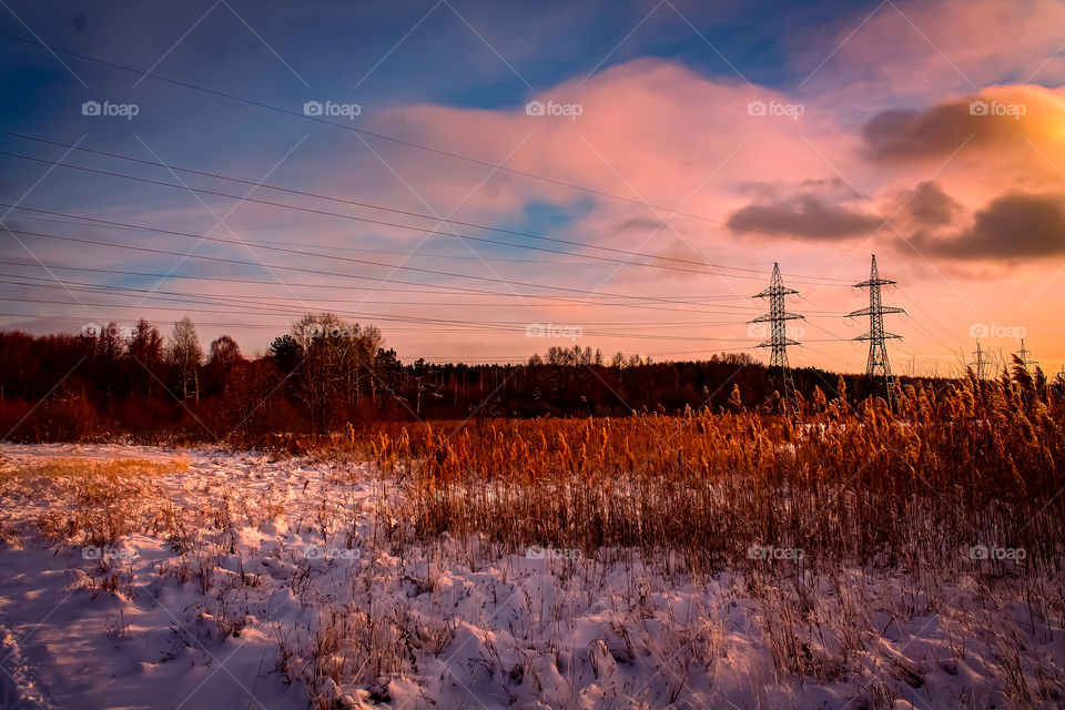 Field, power grid and grass