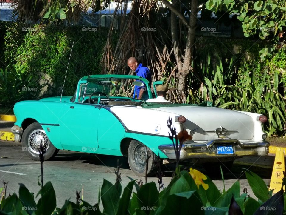 Cars of Havana 