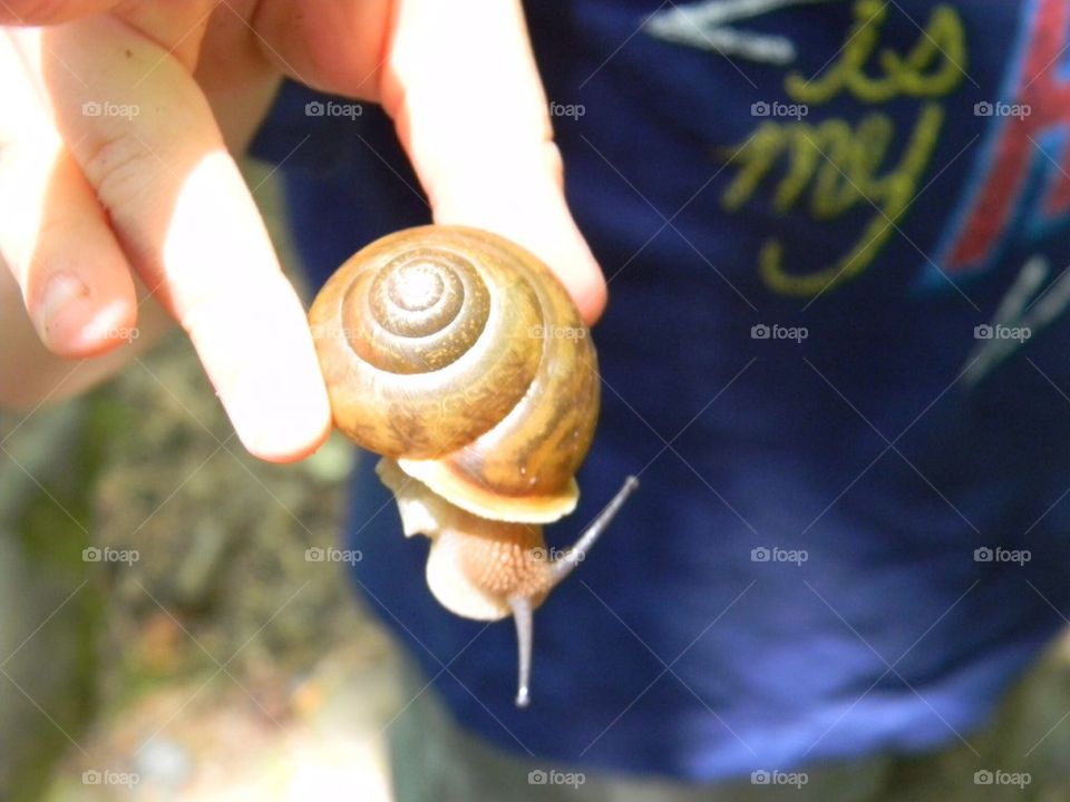 Found a snail