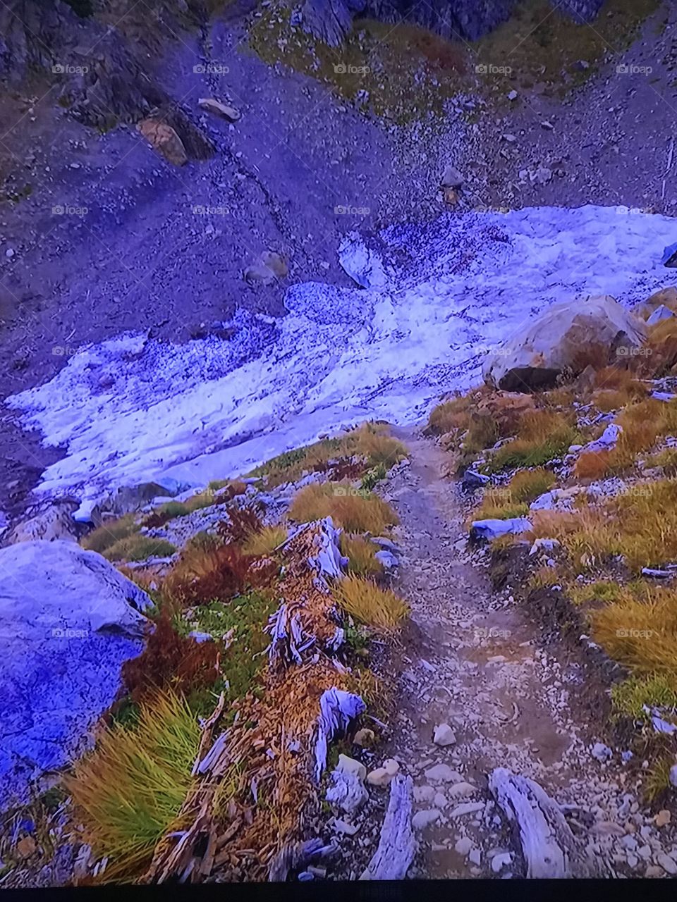 Washington Autumn Park 