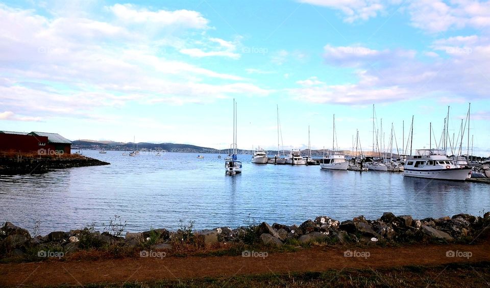 Harbor in the sunset