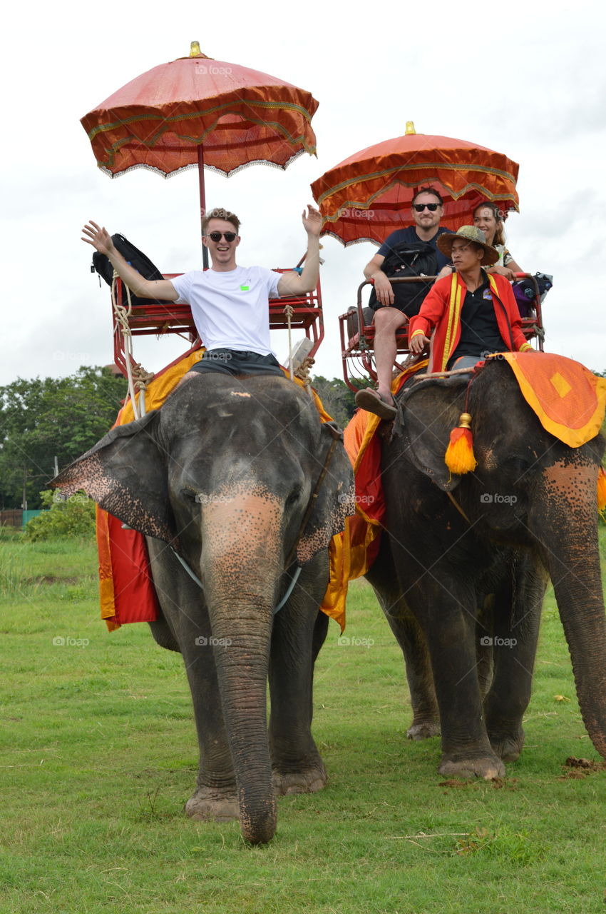 people riding elephants