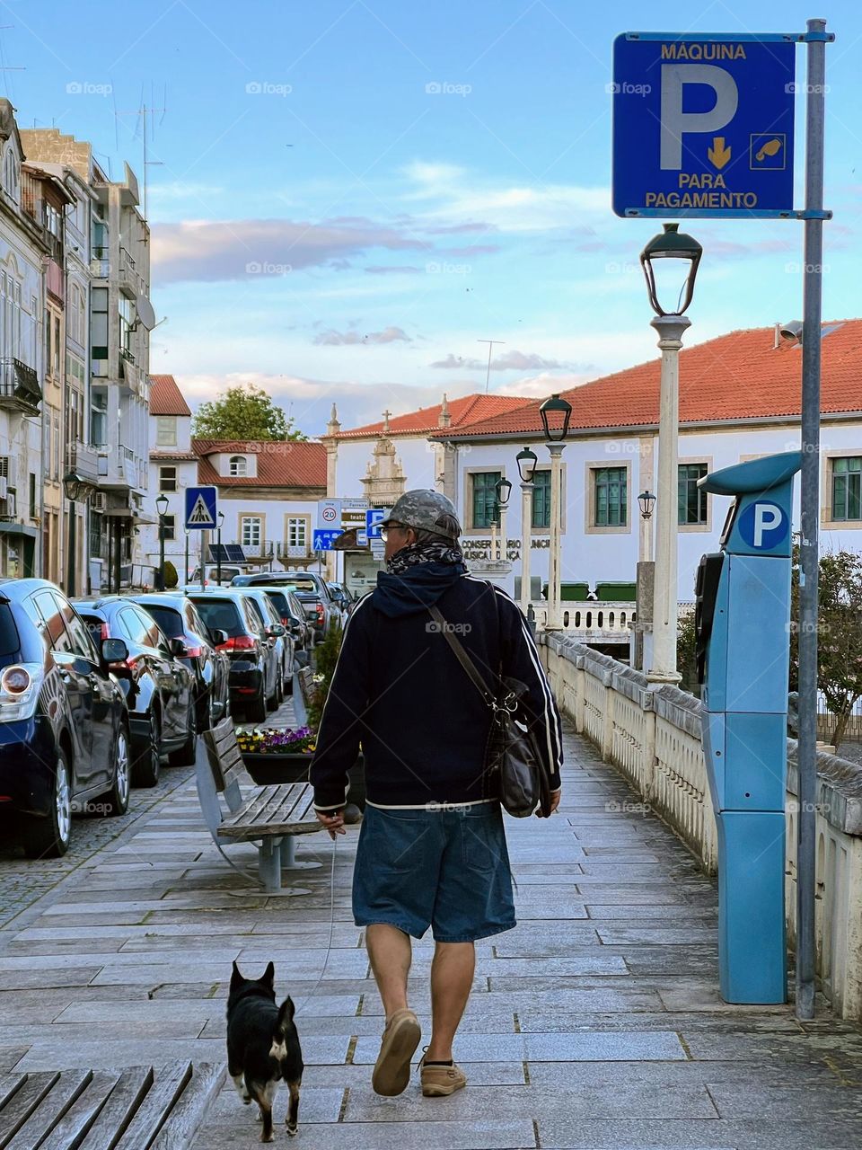 Man and dog on the street