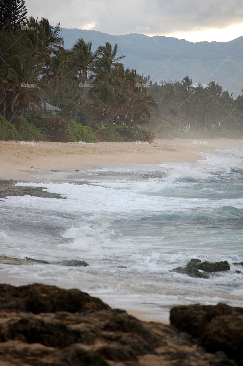 February waves crash on the North Shore of Oahu.  