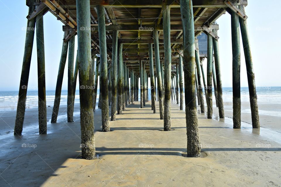 Under the Pier