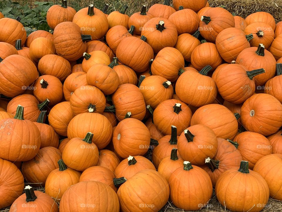 Pumpkins