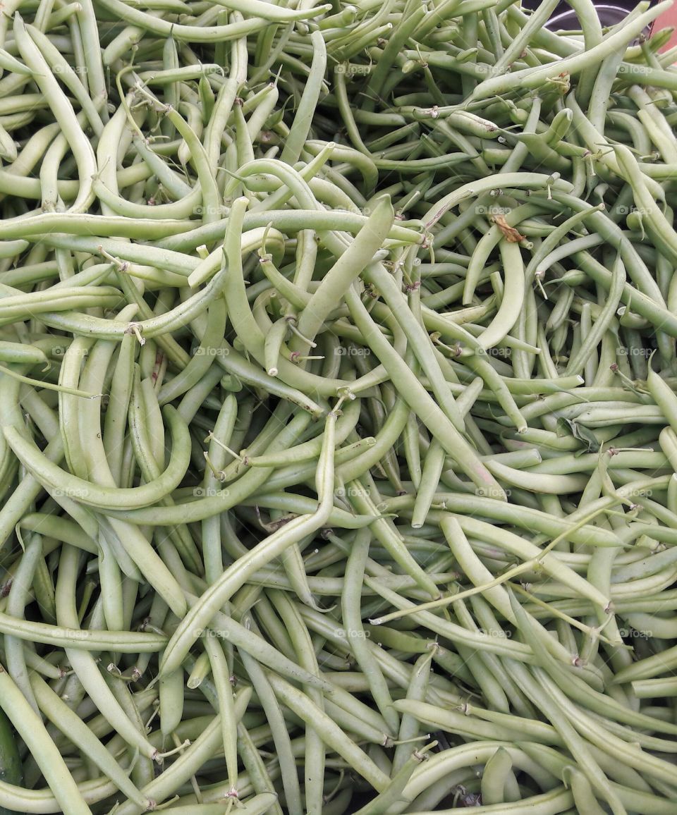 High angle view of green beans