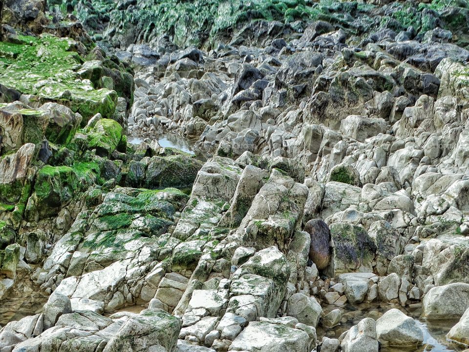 Coastal Rock Erosion