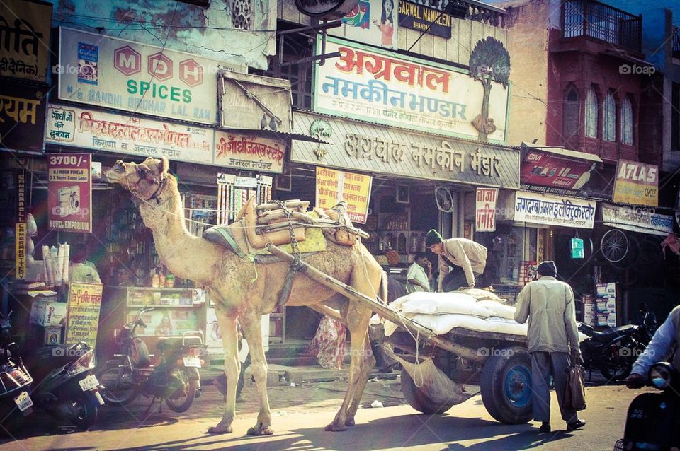 india street camel