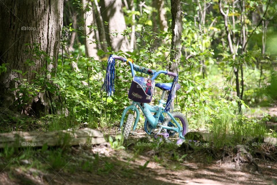Beautiful girl's bike in a park
