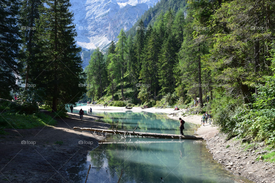 The river, the mountain and the trees...