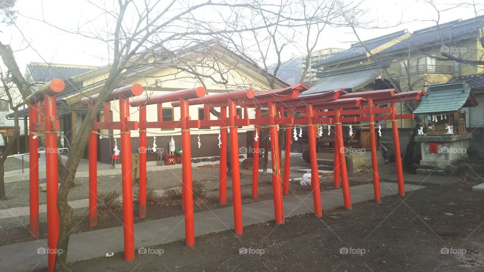 Torii side-view