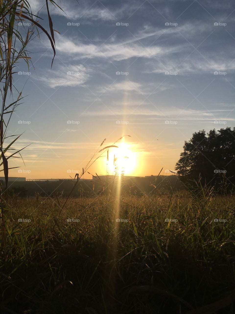 Summer with an inspiring sun, enlivening our hearts and beautifying our landscape (Jundiaí City, Brazil)! 🇺🇸

Verão com um sol inspirador, animando nossos corações e embelezando nossa paisagem (Cidade de Jundiaí, Brasil)! 🇧🇷