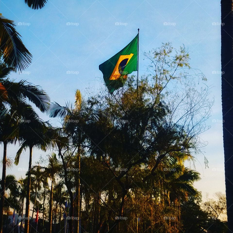 brasil