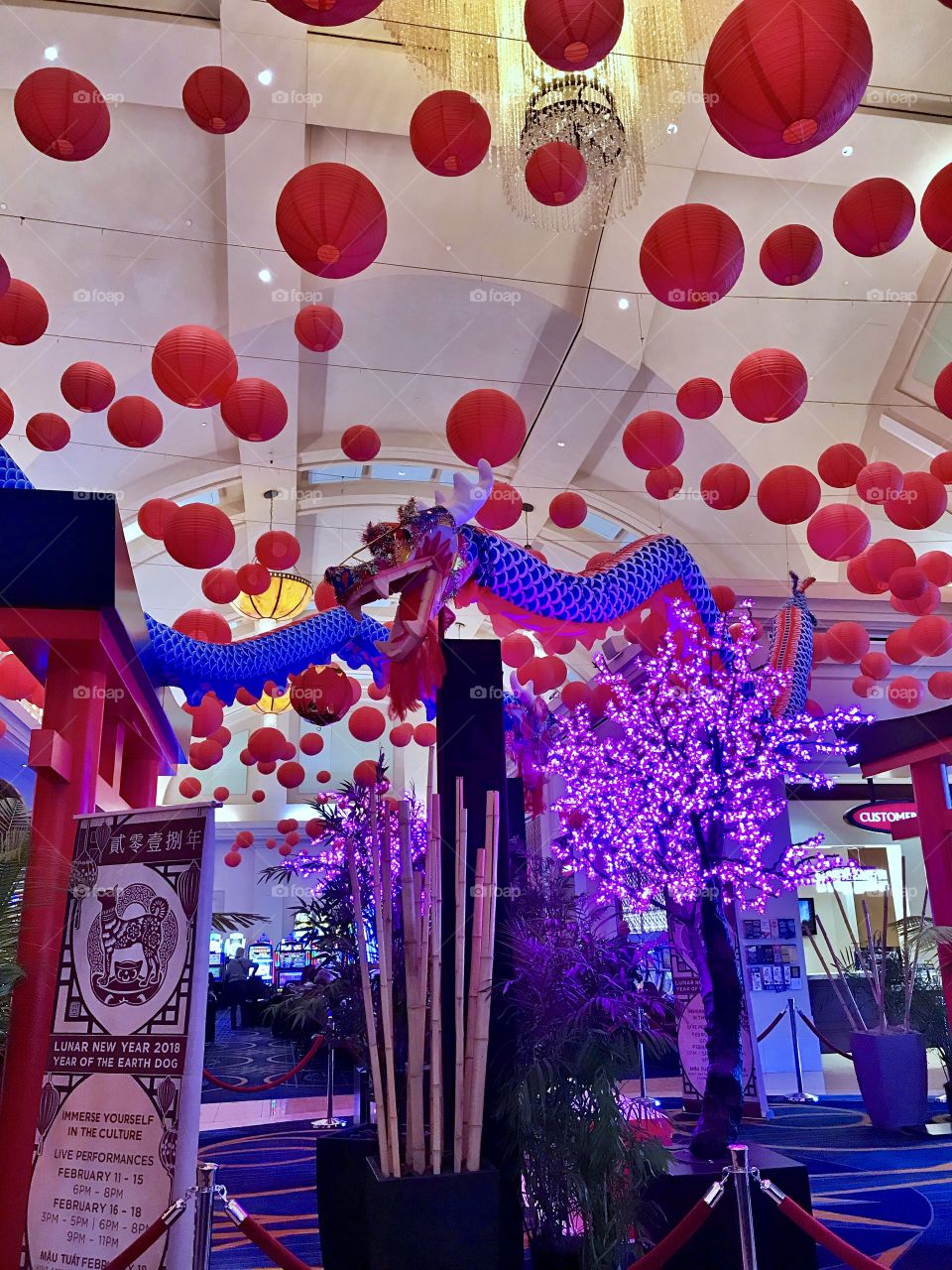 Lunar Year 2018 Year Of The Earth Dog 