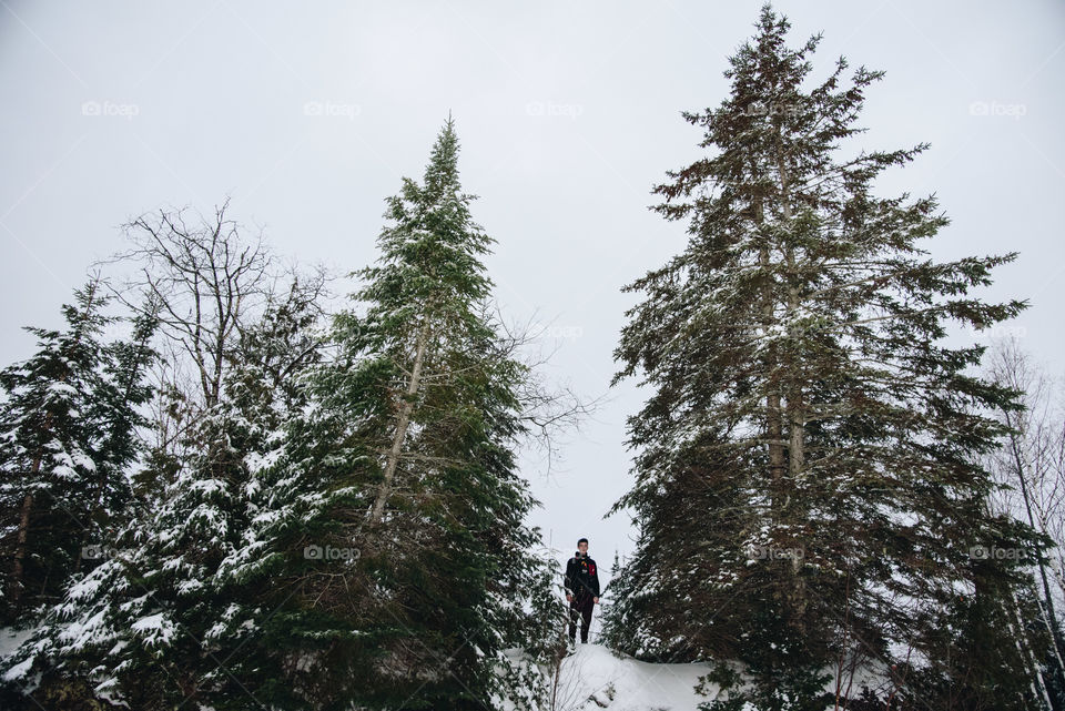 Walking and posing in a cold wintery forest