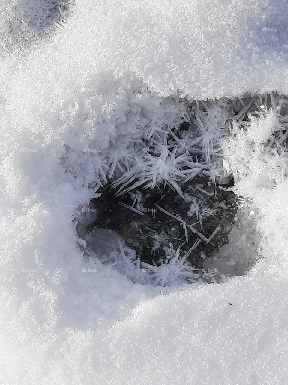 studium of snow  - melting snow forming crystals