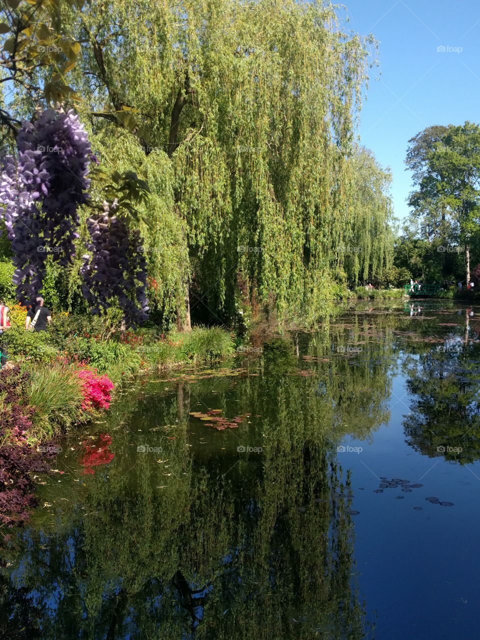 Monet's Garden in Giverny, France