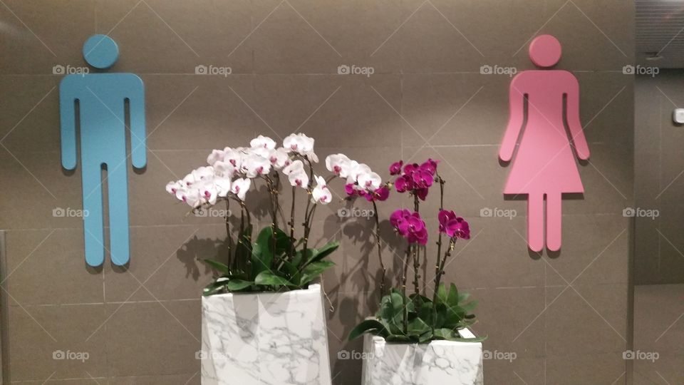 Ladies and gentlemen