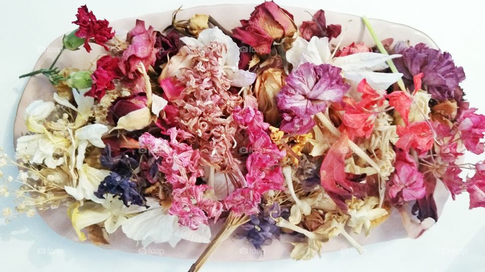 Plate of dried flowers