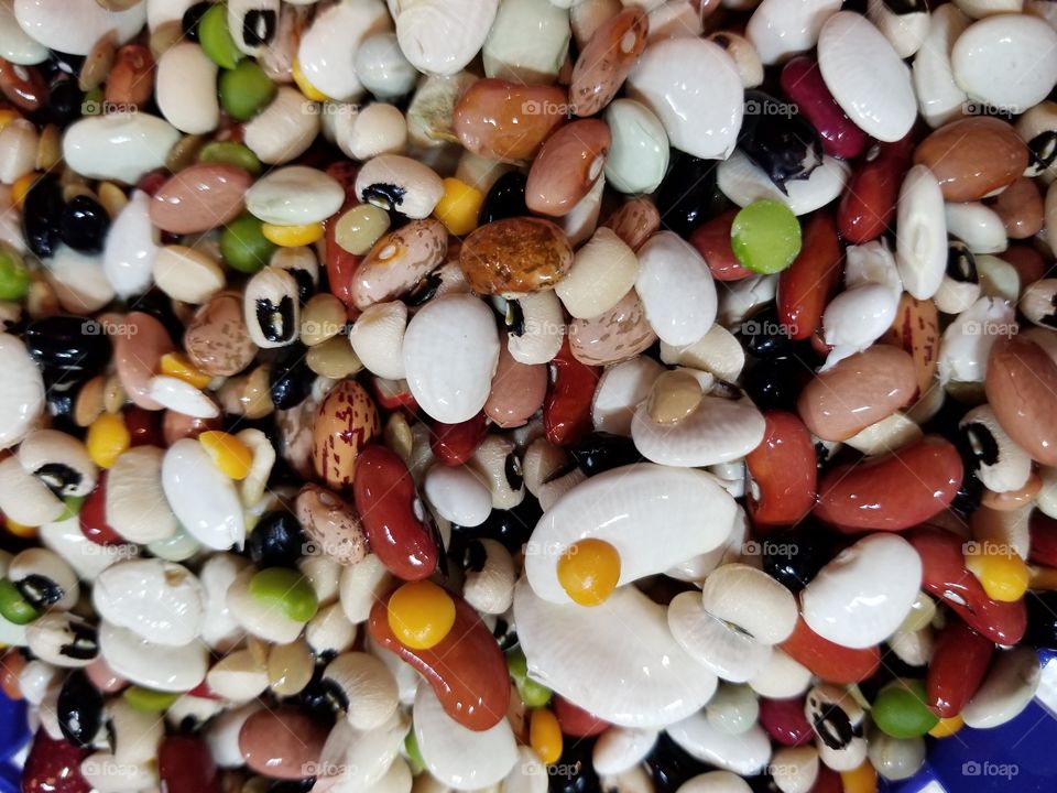 Beautiful Beans #3