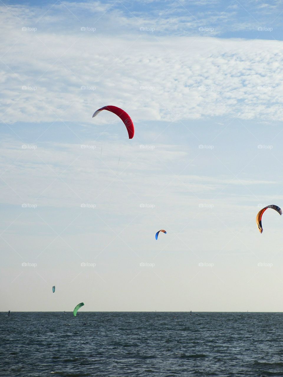 Kites urging on Tampa Bay, Florida