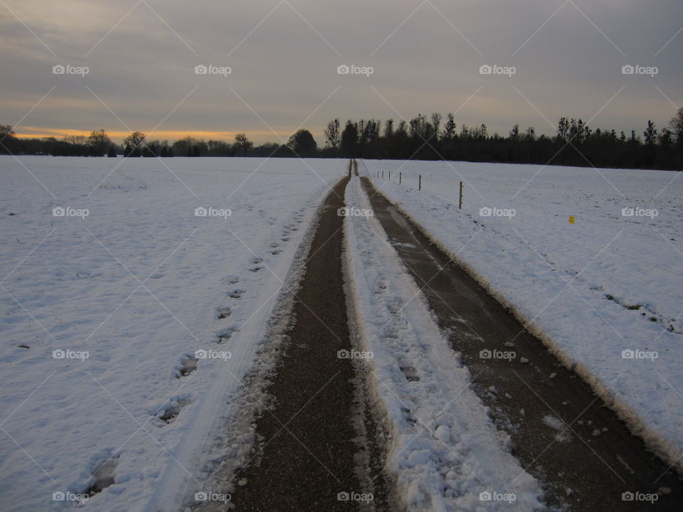 Winter, Snow, Cold, Frost, Ice