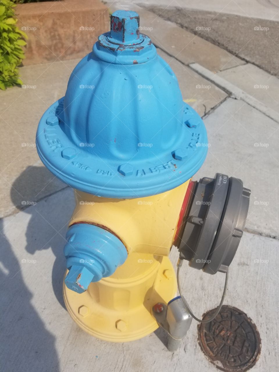 Fire  Hydrant