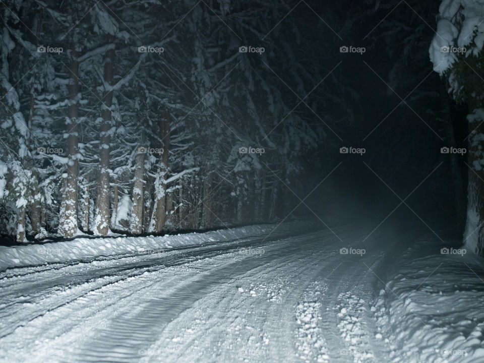 snowy road through forest