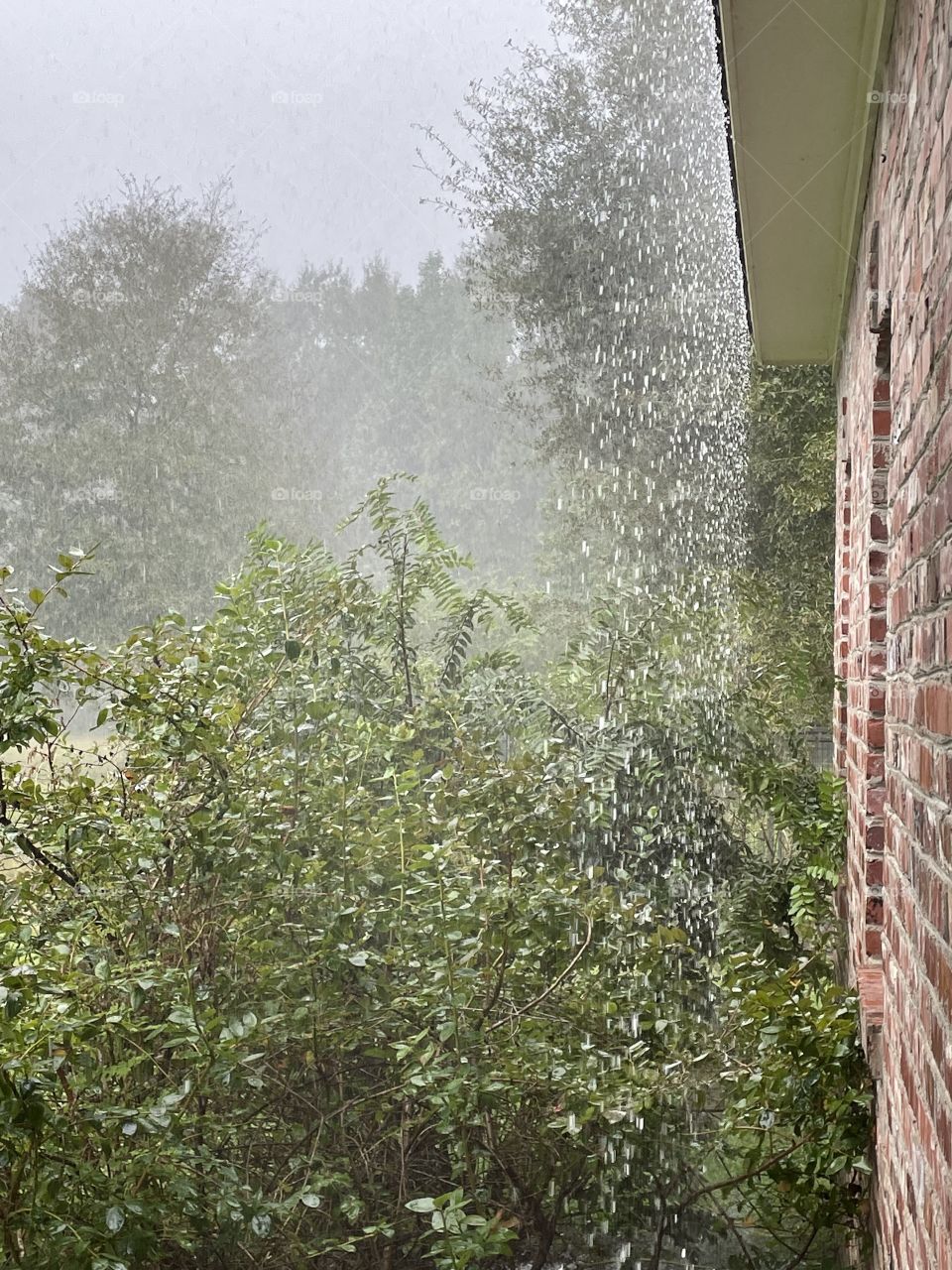 Rain falling off the house. 